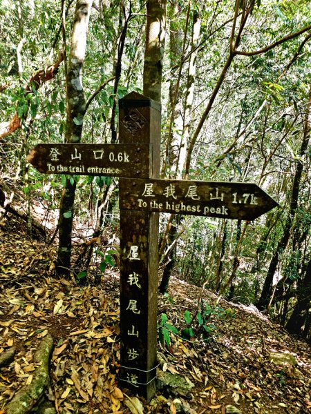 屋我尾山-谷關七雄 老三2962543