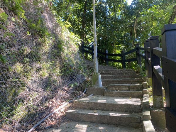 【四獸山攻略】虎豹獅象 O 型環走！完整四獸山輕鬆路線全收錄2906424