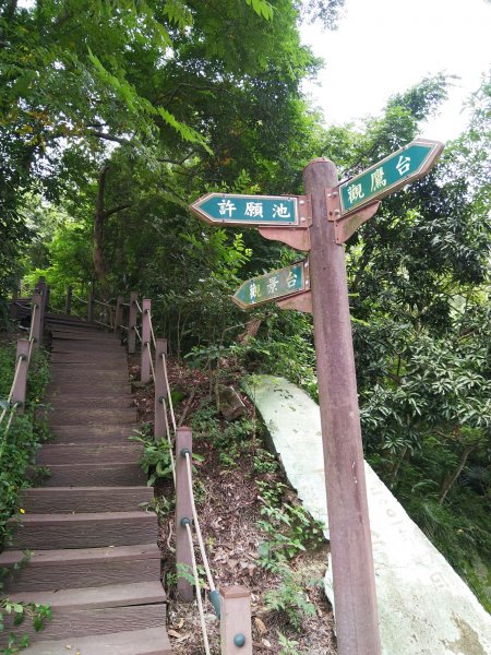 挑戰1063階的木棧階梯。 新田登山步道776945