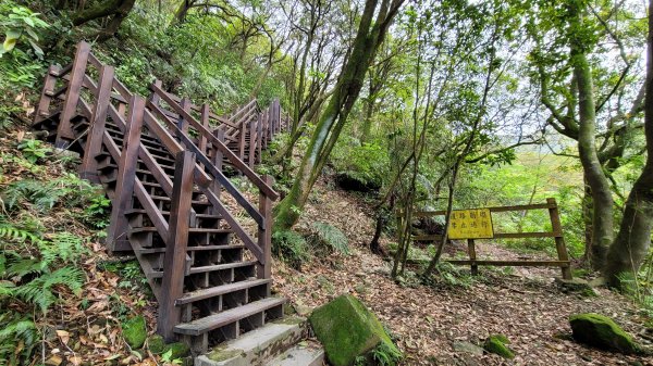 擎天崗系步道巡禮2104332