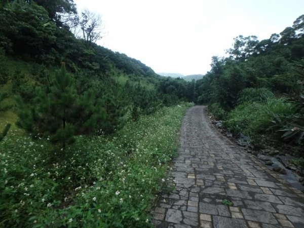 1070614茶山步道3099456