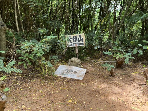 [山頂鳥40周年會員大縱走-03/15] 2024_0629 蛇頭山步道2539363