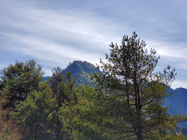 座車比爬山還累的郡大山1083377