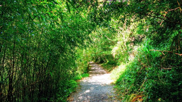 向天蝦不蝦2936840