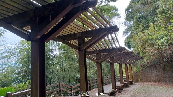 【苗栗泰安】水雲三星最終回。 橫龍山x橫龍山北峰x騰龍山(有極佳的展望)2061886