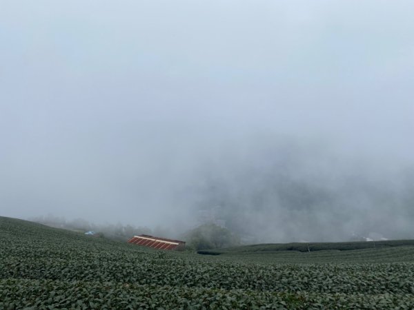 1111007雲嘉五連峰2652969