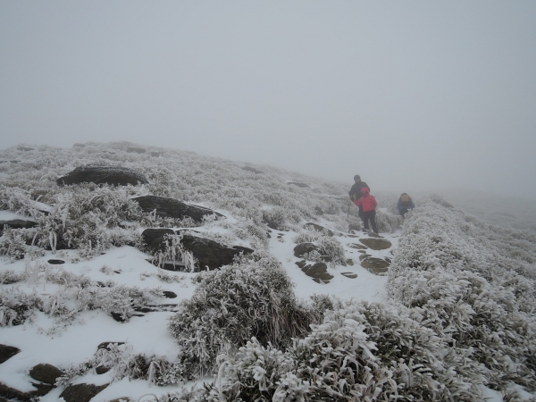 最新奇萊南峰_冰天雪地263521