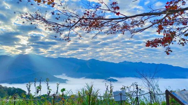 二訪馬拉邦山，解鎖 #琉璃光雲海 #日出雲海  #血月 #斜射光 #楓葉紅了！2668621