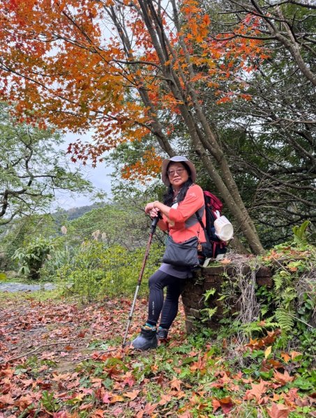 登峰古圳訪高頂山 北五指山 出荷蘭古道 快閃聖人瀑布2982316