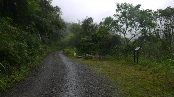 古魯林道登山健行趣(步道)1657624