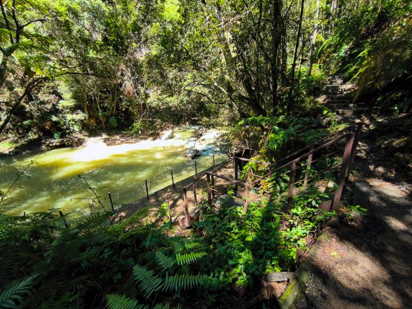 2024-08-22 澀水森林步道2578437