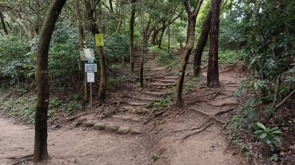 楊梅區龜山頭山-福人步道-莊迷湖-保甲路古道-東森山林森林步道-福人步道3074662