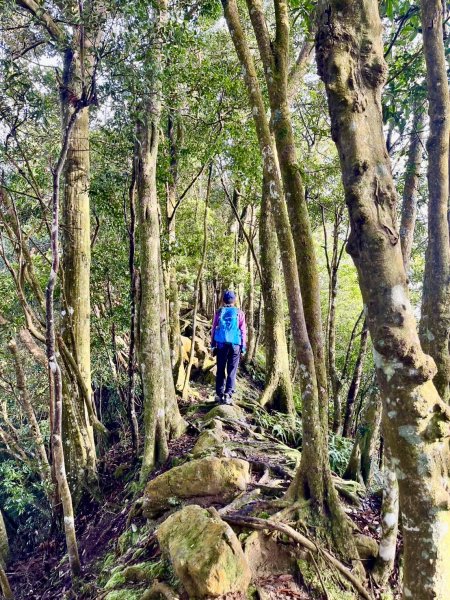 坐公車接駁的神仙縱走2707470