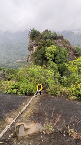 迎新（2026元旦2975601