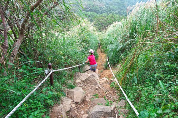 大屯西、南、面、向四峰O型695088