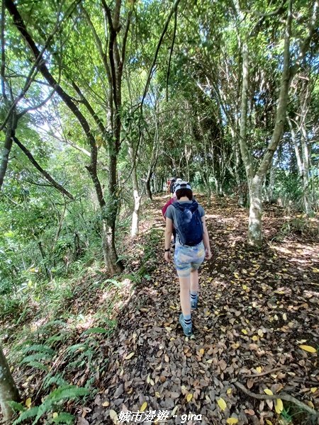 【南投信義】望鄉部落抬頭見玉山。 獵人古道連走、望美山、瓊山2274308