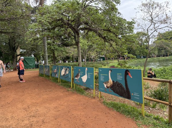 [紐約馬之行-69] 2025_1116 伊比拉布埃拉公園-下2955169