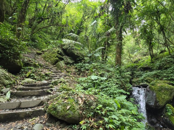 聖母登山步道（抹茶山）、三角崙山（小百岳）2774104