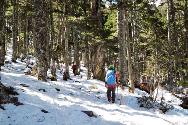 雪山年度大戲~雪地攀登訓練277038