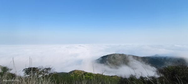 #大屯山 #雲海 3/223019604