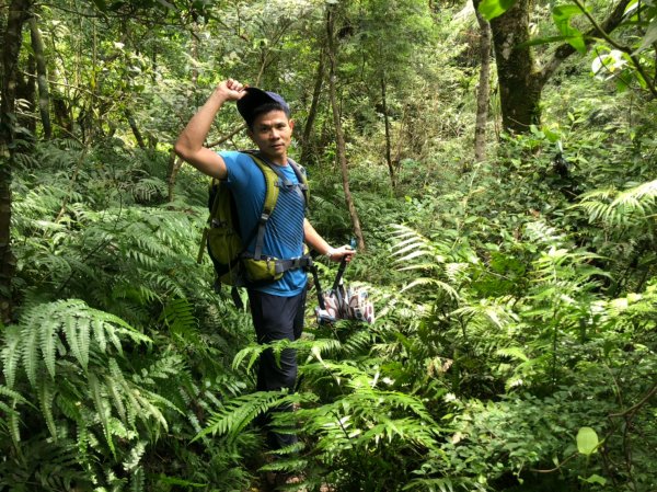 鵲子山、猴洞坑瀑布【微奢華.暑假礁溪之旅628008