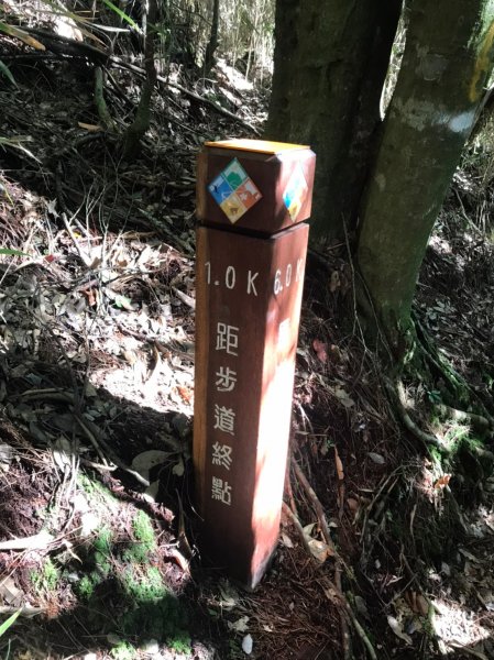 谷關七雄  老二  馬崙山  郊遊1469061