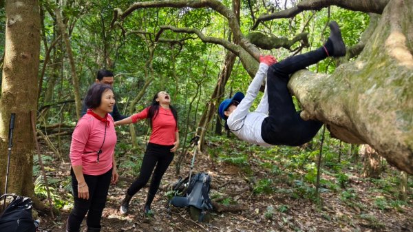 東勢大崙、東勢坑山、觀音湖山O走2986316