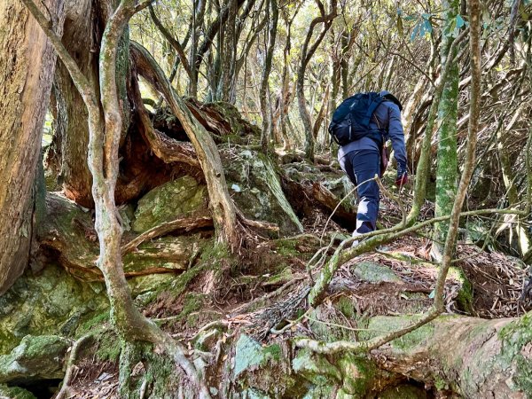 船型山環走大雪山210林道2978054