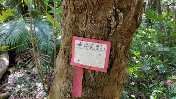 水磨坑古道,竹林古道2561782