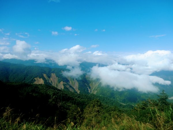 太平山翠峰湖環山步道1743571