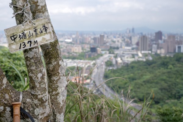 中埔山.軍功山.天立山-四獸山3085530