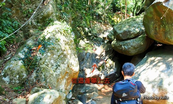 恆春半島第一高峰-里龍山(竹坑登山口入)878681