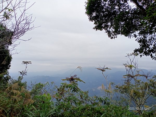 四訪苗栗的花果山-小百岳#037馬那邦山、雪霸國家公園管理處【小百岳集起來、苗栗-臺灣百大必訪步道】2394350