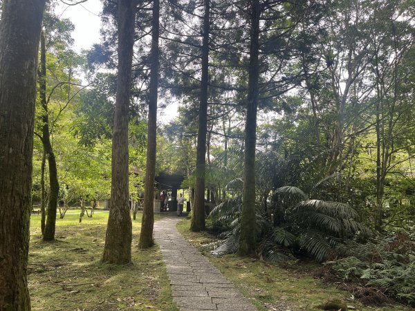 2025_0712 福山植物園2836341
