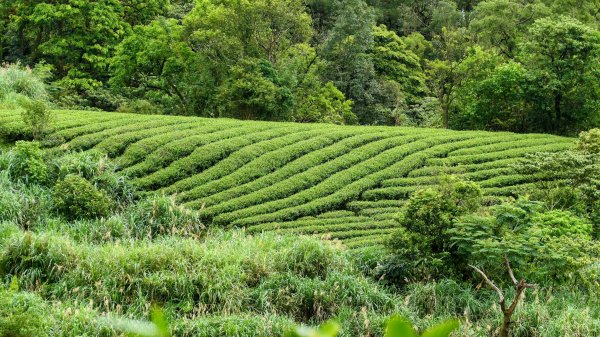 白雲派出所。蒙格不驚2759928