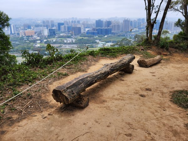 112/2/23龍鳳連稜2148223