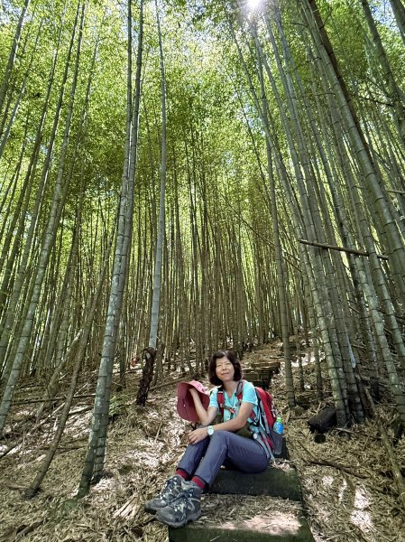 阿里山 奮瑞古道 202506282827171