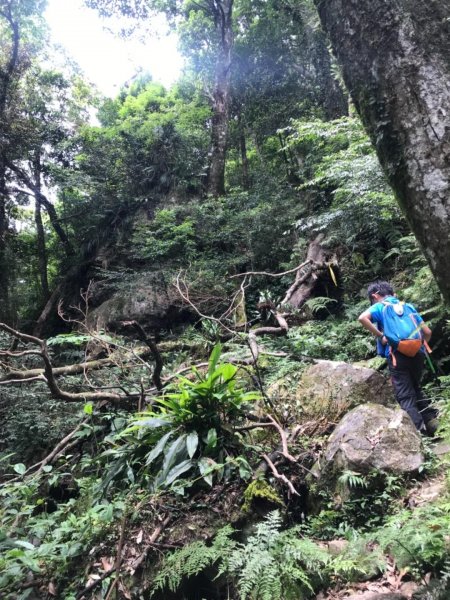 可看到小巧五指山的鵝公髻山 615632
