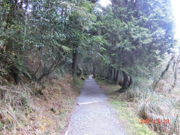 翠峰湖環山步道1557903