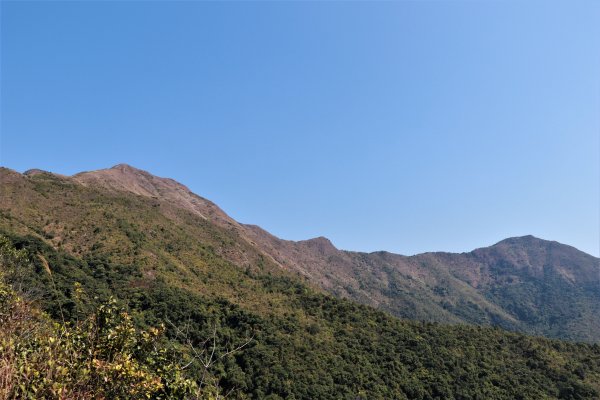 HK - 觀音脊、八仙嶺1465866