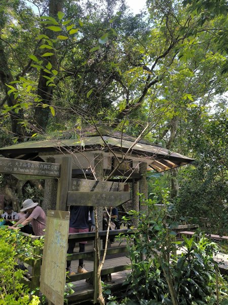 20250830天上山、旺旺嶺、太極嶺2874088