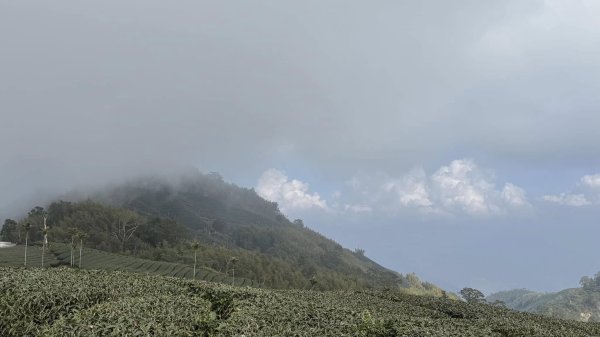 20250124小百岳 梨仔腳山及大尖山2703383