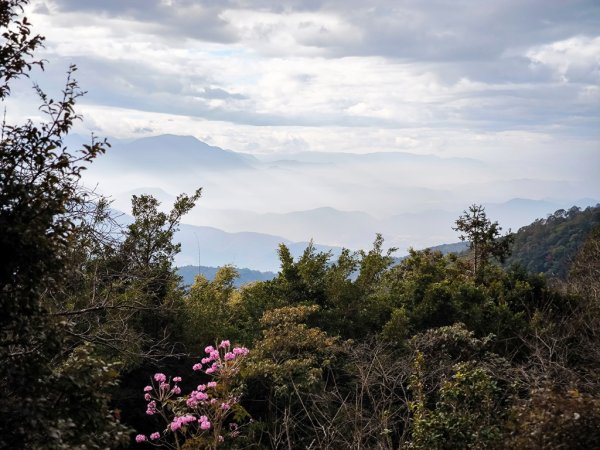 2026-01-18 埔里關刀山2989567