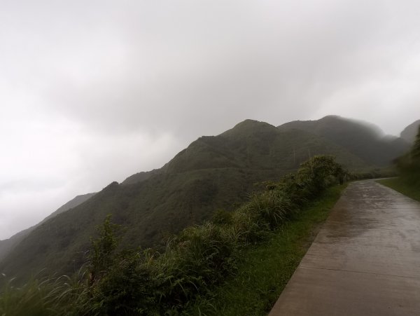20200525樹梅坪、燦光寮、貂山古道977113