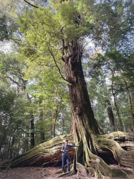 雪見遊憩區 探訪森林雪見之王2950847