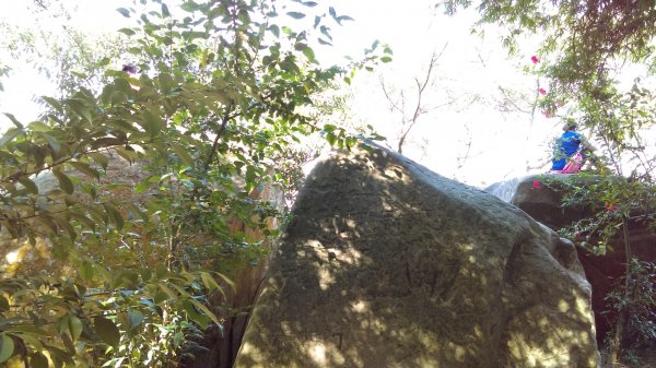 【臺北大縱走6】象山南港山縱走九五峰虎山942817