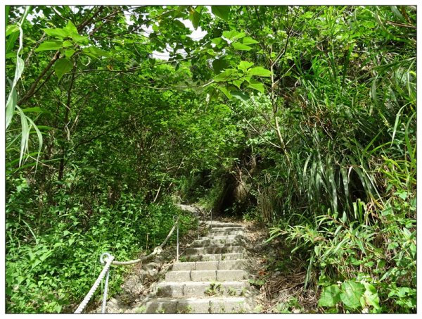 草嶺清溪步道1506554