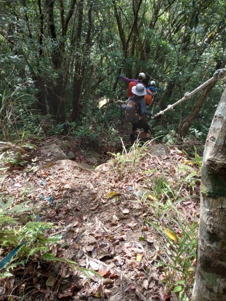 雷公埤山-鱷魚島觀景-小格頭獅頭山2001518
