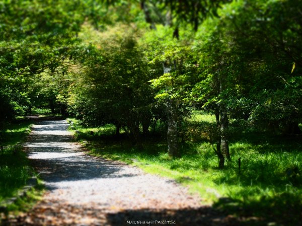 《宜蘭》植物博物館｜員山福山植物園201805182889173