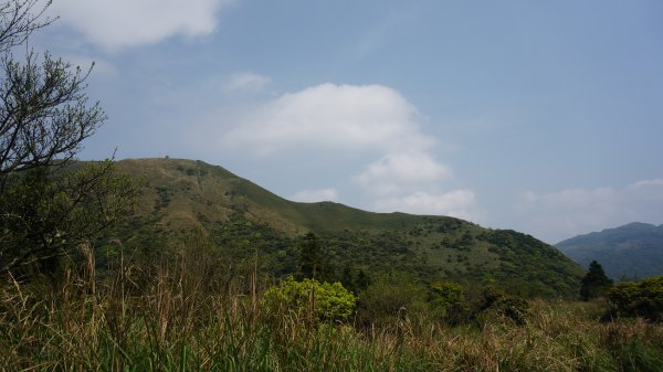 陽明山西段縱走 O形1916373